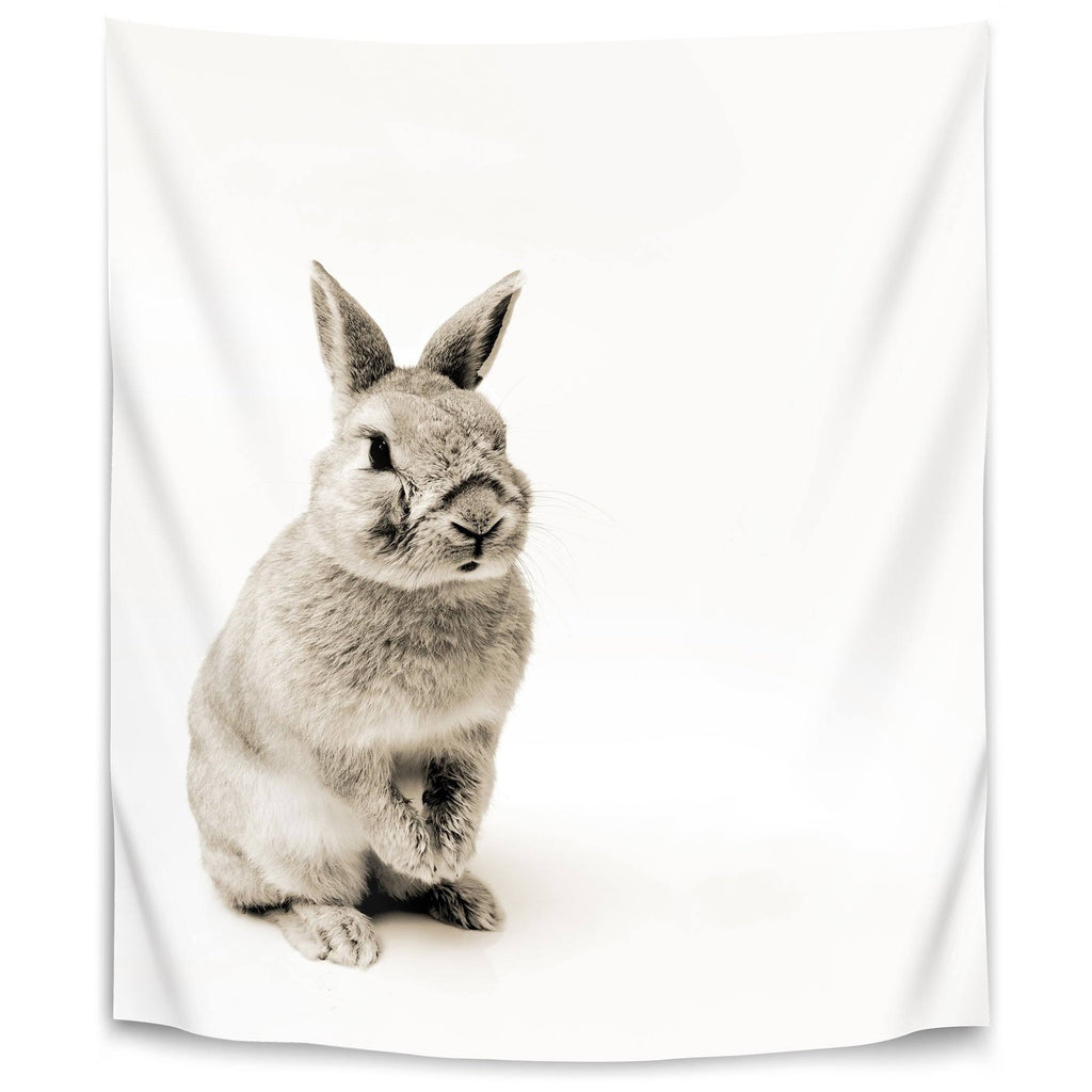 Rabbit Photo 26x36 N146