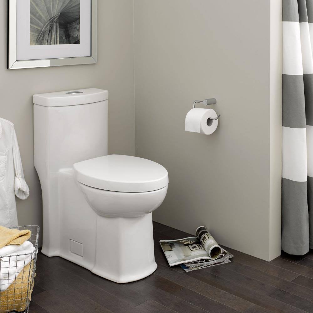 One-Piece Dual Flush Elongated Toilet N164