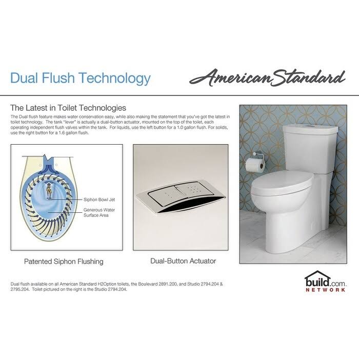 One-Piece Dual Flush Elongated Toilet N164