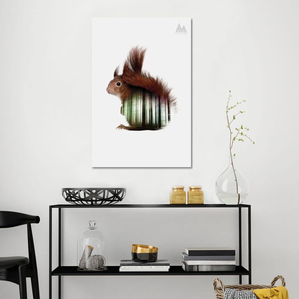 Canvas Wall Decor Prints - Squirrel S532460