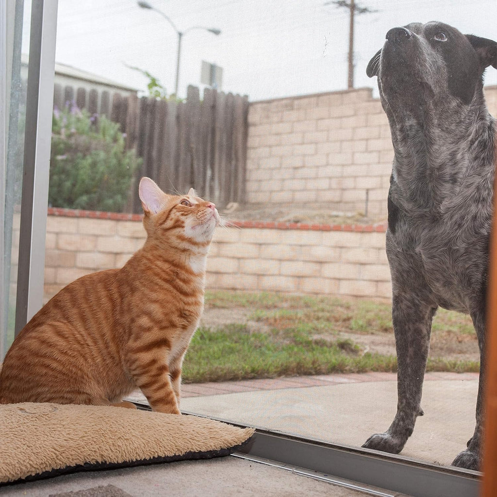 Pet Proof Screen 36” x 100’ Pack of 2 W356994